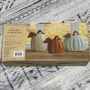 Bed, Bath & Beyond Set of 3 Colorful Ceramic Pumpkins